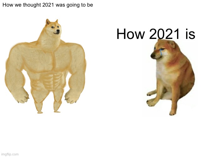 OH IS IT SUPPOSE TO BE BETTER THAN 2020 H E L L N O | How we thought 2021 was going to be; How 2021 is | image tagged in memes,buff doge vs cheems | made w/ Imgflip meme maker