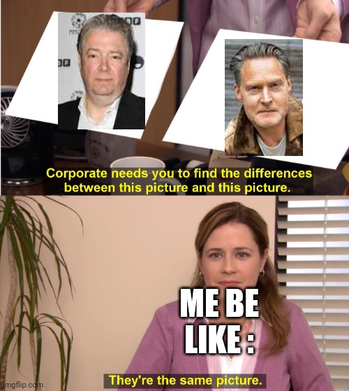 Same | ME BE LIKE : | image tagged in memes,they're the same picture,henrik norman,sarah and duck,roger allam | made w/ Imgflip meme maker