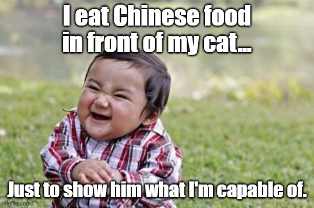 Evil Toddler Meme |  I eat Chinese food in front of my cat... Just to show him what I'm capable of. | image tagged in memes,evil toddler | made w/ Imgflip meme maker