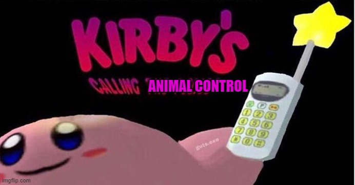 Kirby's calling the Police | ANIMAL CONTROL | image tagged in kirby's calling the police | made w/ Imgflip meme maker