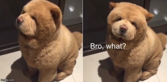 Bro, what? | image tagged in bro what | made w/ Imgflip meme maker