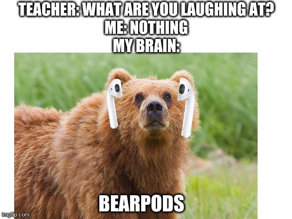 rich bear | TEACHER: WHAT ARE YOU LAUGHING AT?
ME: NOTHING
MY BRAIN:; BEARPODS | image tagged in blank white template,memes,funny,teacher what are you laughing at | made w/ Imgflip meme maker