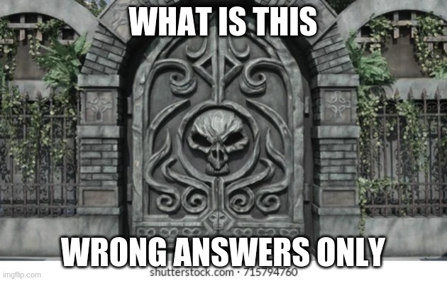 dungon door | WHAT IS THIS; WRONG ANSWERS ONLY | image tagged in door | made w/ Imgflip meme maker