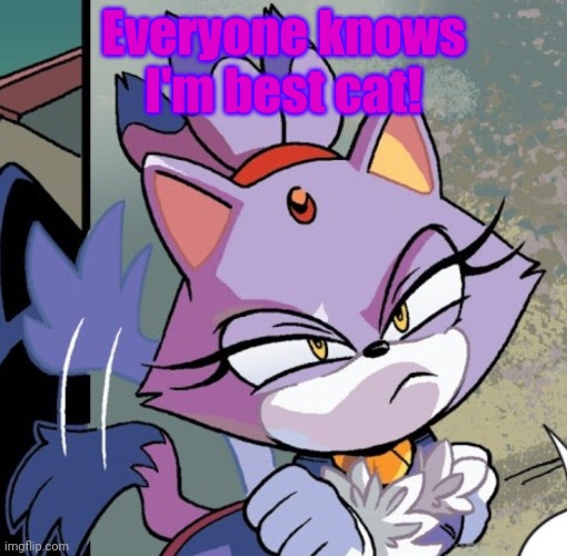 Blaze the cat! |  Everyone knows I'm best cat! | image tagged in blaze the cat,sonic the hedgehog,silver the hedgehog,best girl,cat | made w/ Imgflip meme maker