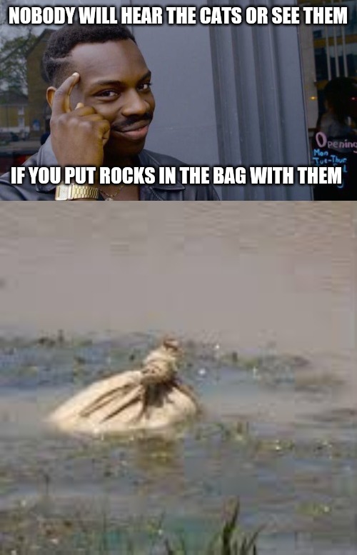 NOBODY WILL HEAR THE CATS OR SEE THEM; IF YOU PUT ROCKS IN THE BAG WITH THEM | image tagged in memes,roll safe think about it | made w/ Imgflip meme maker
