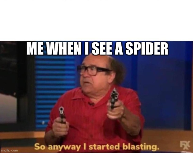So anyway I started blasting | ME WHEN I SEE A SPIDER | image tagged in so anyway i started blasting | made w/ Imgflip meme maker