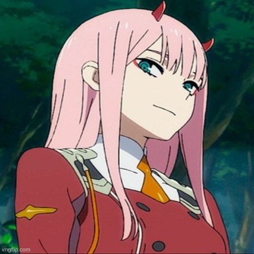 Who Remembers Zero Two? | image tagged in anime | made w/ Imgflip meme maker