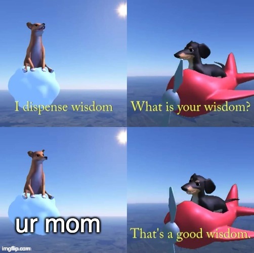 Wisdom dog | ur mom | image tagged in wisdom dog | made w/ Imgflip meme maker