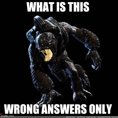 gears of war | WHAT IS THIS; WRONG ANSWERS ONLY | image tagged in video games,gears of war | made w/ Imgflip meme maker