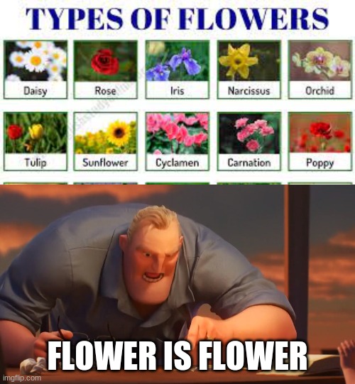 FLOWER IS FLOWER | image tagged in math is math | made w/ Imgflip meme maker