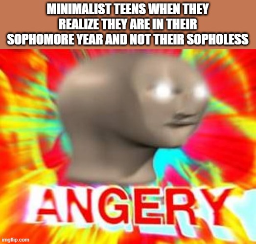 Surreal Angery | MINIMALIST TEENS WHEN THEY REALIZE THEY ARE IN THEIR SOPHOMORE YEAR AND NOT THEIR SOPHOLESS | image tagged in surreal angery | made w/ Imgflip meme maker