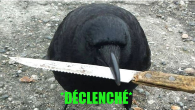 triggered raven | image tagged in triggered raven | made w/ Imgflip meme maker