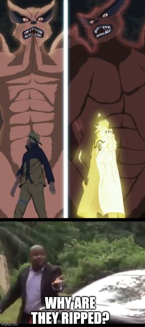 Pillar foxes | WHY ARE THEY RIPPED? | image tagged in why are you running,pillar men,foxes,naruto,jojo reference,hot | made w/ Imgflip meme maker