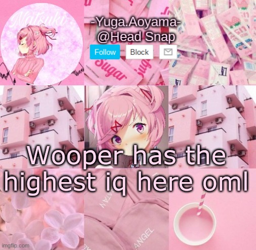 Natsuki temp | Wooper has the highest iq here oml | image tagged in natsuki temp | made w/ Imgflip meme maker