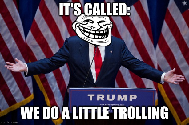 Donald Trump | IT'S CALLED:; WE DO A LITTLE TROLLING | image tagged in donald trump | made w/ Imgflip meme maker