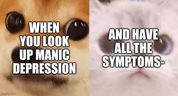 It's google tho so it's prolly wrong, besides i have to see a doctor to confirm it which im not risking- | WHEN YOU LOOK UP MANIC DEPRESSION; AND HAVE ALL THE SYMPTOMS- | image tagged in scared cat and scared dog | made w/ Imgflip meme maker
