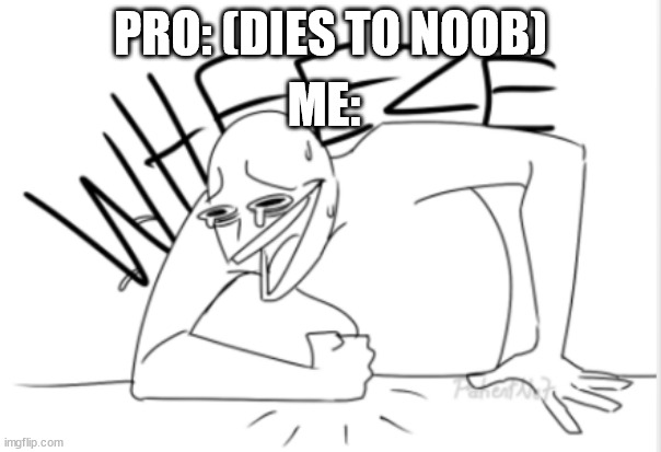 wheeze | PRO: (DIES TO NOOB); ME: | image tagged in wheeze | made w/ Imgflip meme maker