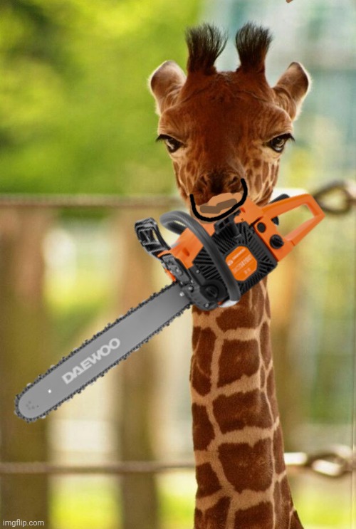 Angry Giraffe! | image tagged in angry,giraffe,chainsaw,oh no,but why why would you do that | made w/ Imgflip meme maker