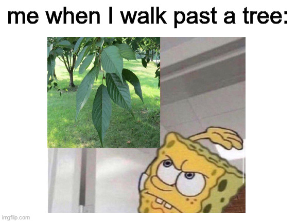 Relatable? |  me when I walk past a tree: | image tagged in memes,fun | made w/ Imgflip meme maker