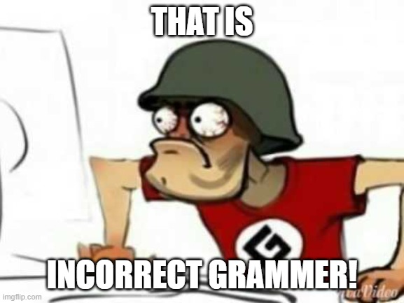 Grammer Nazi | THAT IS INCORRECT GRAMMER! | image tagged in grammer nazi | made w/ Imgflip meme maker
