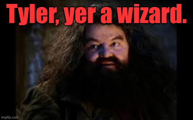 Tyler yer a wizard | Tyler, yer a wizard. | image tagged in hagrid yer a wizard,harry potter,tyler | made w/ Imgflip meme maker