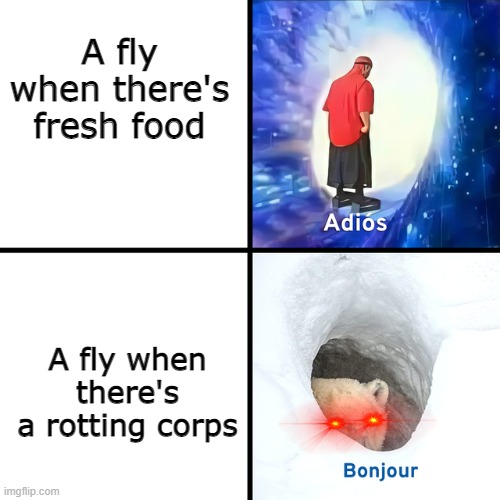Mhm, rotten flesh | A fly when there's fresh food; A fly when there's a rotting corps | image tagged in adios bonjour,fly,relatable | made w/ Imgflip meme maker