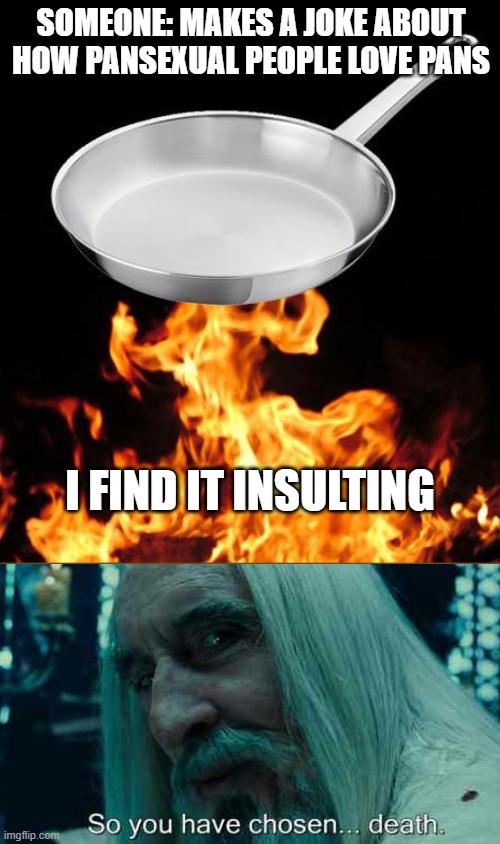 Insulted | SOMEONE: MAKES A JOKE ABOUT HOW PANSEXUAL PEOPLE LOVE PANS; I FIND IT INSULTING | image tagged in frying pan to fire,so you have chosen death,insult | made w/ Imgflip meme maker