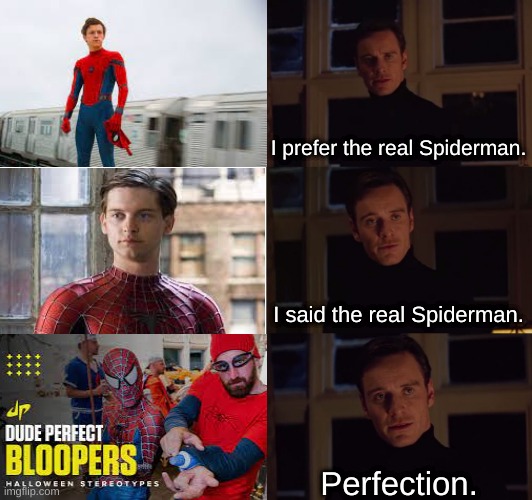 dude perfect spiderman | I prefer the real Spiderman. I said the real Spiderman. Perfection. | image tagged in i prefer the real | made w/ Imgflip meme maker