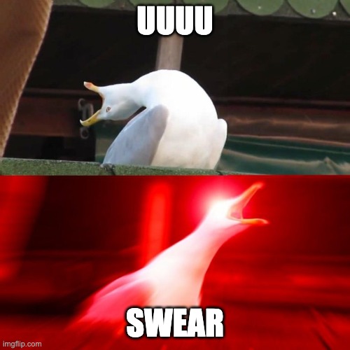 Inhalin Seagull | UUUU SWEAR | image tagged in inhalin seagull | made w/ Imgflip meme maker