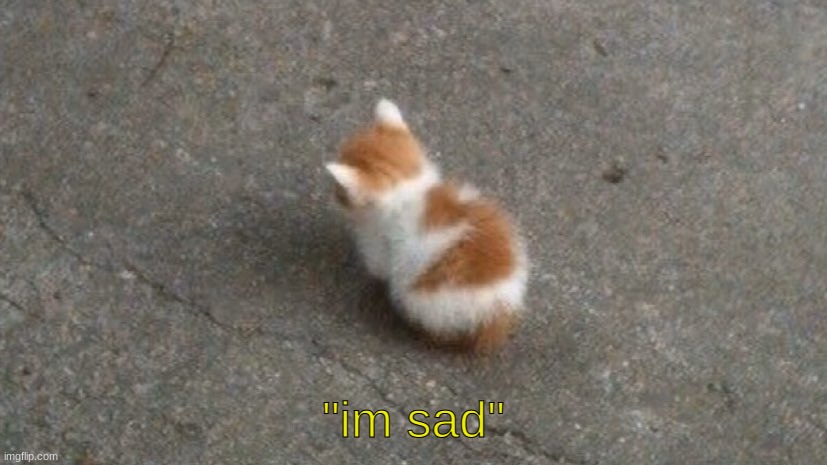 "im sad" | made w/ Imgflip meme maker