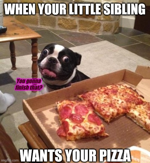 Siblings... |  WHEN YOUR LITTLE SIBLING; You gonna finish that? WANTS YOUR PIZZA | image tagged in hungry pizza dog,little brother,sister | made w/ Imgflip meme maker