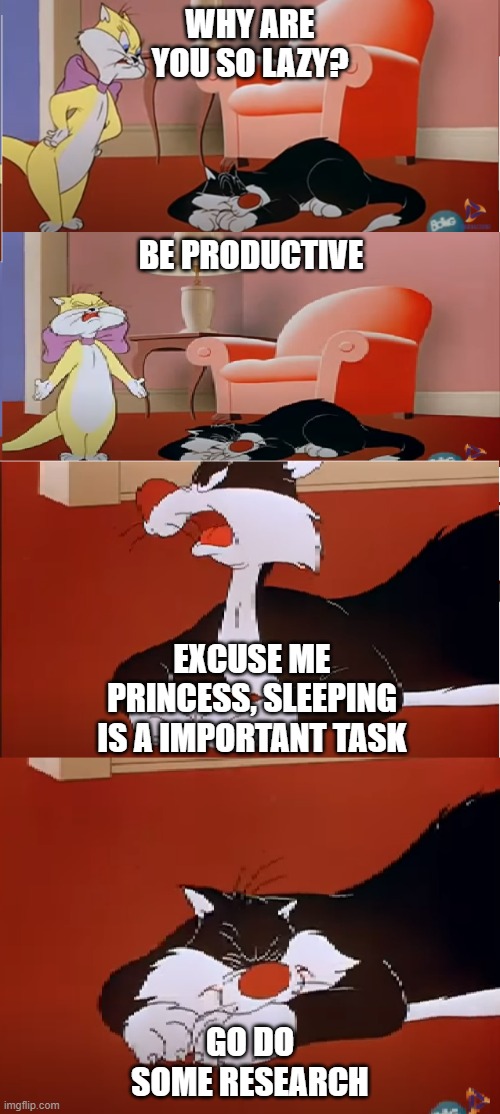 SLEEP IS IMPORTANT | WHY ARE YOU SO LAZY? BE PRODUCTIVE; EXCUSE ME PRINCESS, SLEEPING IS A IMPORTANT TASK; GO DO SOME RESEARCH | image tagged in productivity,life,thug life,funny cats | made w/ Imgflip meme maker