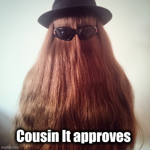 cousin it | Cousin It approves | image tagged in cousin it | made w/ Imgflip meme maker