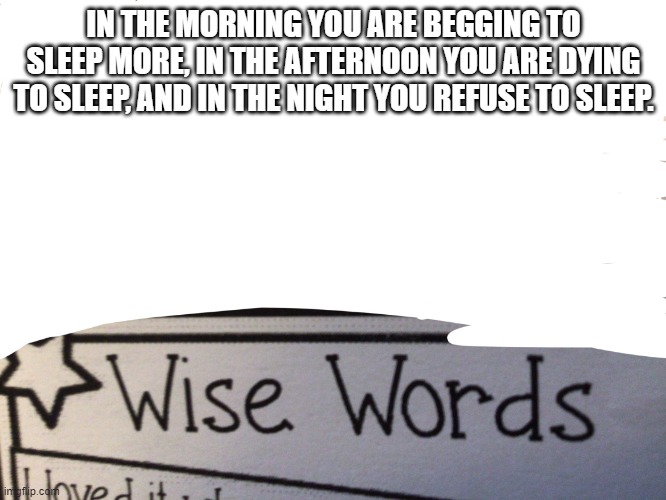Sleep |  IN THE MORNING YOU ARE BEGGING TO SLEEP MORE, IN THE AFTERNOON YOU ARE DYING TO SLEEP, AND IN THE NIGHT YOU REFUSE TO SLEEP. | image tagged in wise words,funny | made w/ Imgflip meme maker