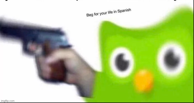 Beg for your life in Spanish | image tagged in beg for your life in spanish | made w/ Imgflip meme maker