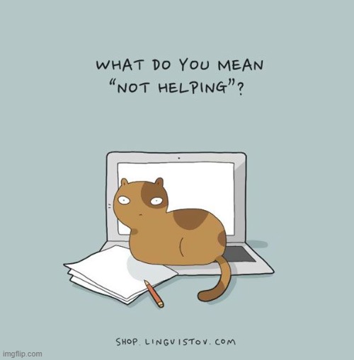 A Cat's Way Of Thinking | image tagged in memes,comics,cats,thinking,helping,what do you mean | made w/ Imgflip meme maker