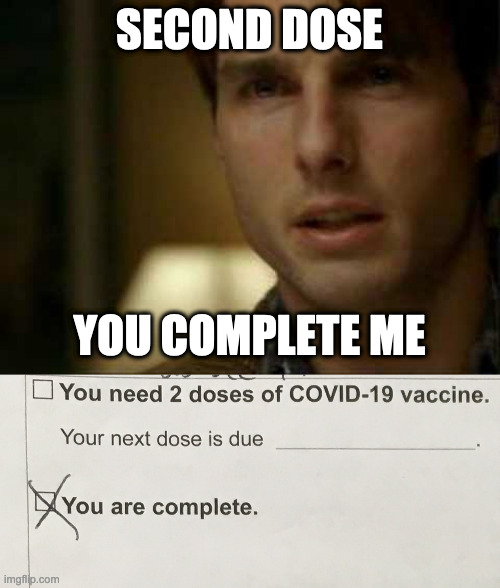 Second dose completes me. | SECOND DOSE; YOU COMPLETE ME | image tagged in you complete me,vaccine | made w/ Imgflip meme maker