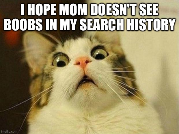 Scared Cat | I HOPE MOM DOESN'T SEE BOOBS IN MY SEARCH HISTORY | image tagged in memes,scared cat,search history,boobs,breasts,lesbian | made w/ Imgflip meme maker