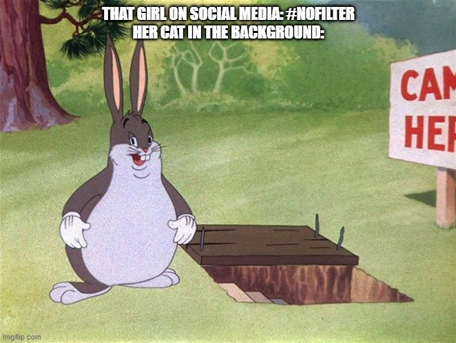 Big Chungus | THAT GIRL ON SOCIAL MEDIA: #NOFILTER; HER CAT IN THE BACKGROUND: | image tagged in big chungus | made w/ Imgflip meme maker