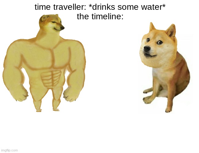 buff cheems vs doge | time traveller: *drinks some water*
the timeline: | image tagged in memes,buff doge vs cheems,funny | made w/ Imgflip meme maker