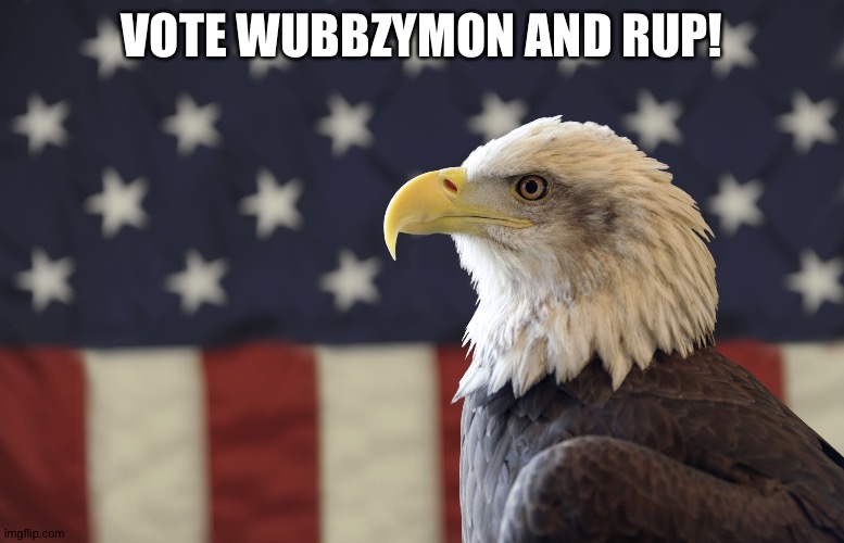 Vote RUP! | VOTE WUBBZYMON AND RUP! | image tagged in american bald eagle and us flag | made w/ Imgflip meme maker