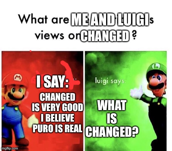 Me and Luigi |  ME AND LUIGI; CHANGED; I SAY:; CHANGED IS VERY GOOD I BELIEVE PURO IS REAL; WHAT IS CHANGED? | image tagged in mario bros views,changed,puro | made w/ Imgflip meme maker