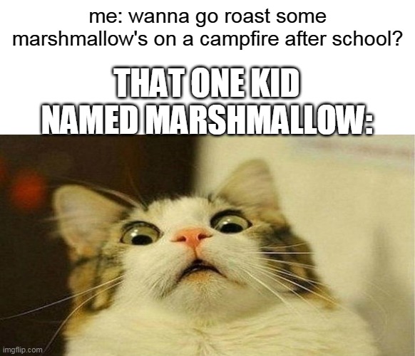 the sequel to the meme i made yesterday that got really popular |  me: wanna go roast some marshmallow's on a campfire after school? THAT ONE KID NAMED MARSHMALLOW: | image tagged in memes,lol,haha,marshmallow,camping,that one kid | made w/ Imgflip meme maker