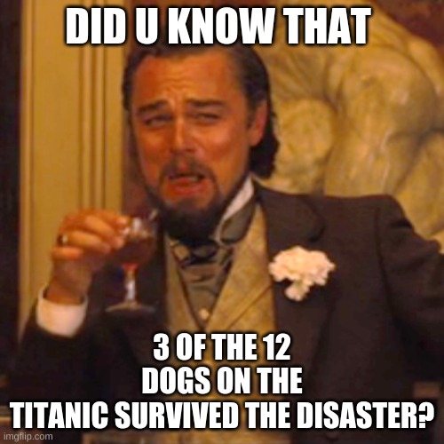 Dogs r smart animals | DID U KNOW THAT; 3 OF THE 12 DOGS ON THE TITANIC SURVIVED THE DISASTER? | image tagged in memes,laughing leo | made w/ Imgflip meme maker