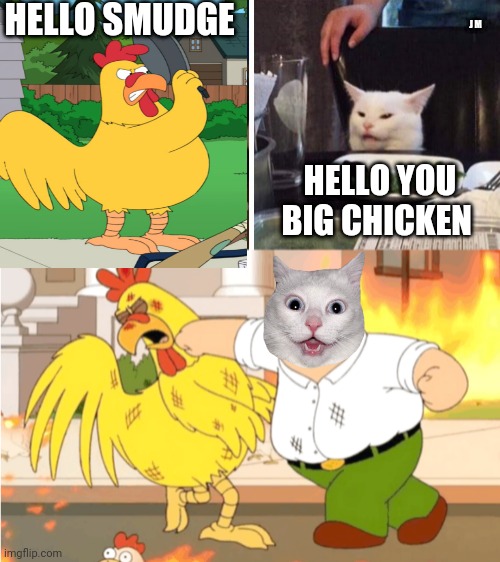 HELLO SMUDGE; J M; HELLO YOU BIG CHICKEN | image tagged in smudge the cat | made w/ Imgflip meme maker