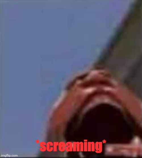 Use as needed, just think of Heavy screaming |  *screaming* | image tagged in funny,screaming,tf2,tf2 heavy,heavy,memes | made w/ Imgflip meme maker