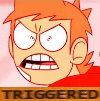 tord is triggered Blank Meme Template