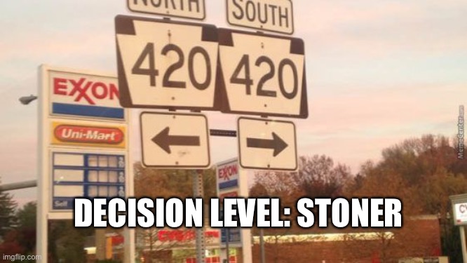 DECISION LEVEL: STONER | image tagged in stoner,420 | made w/ Imgflip meme maker