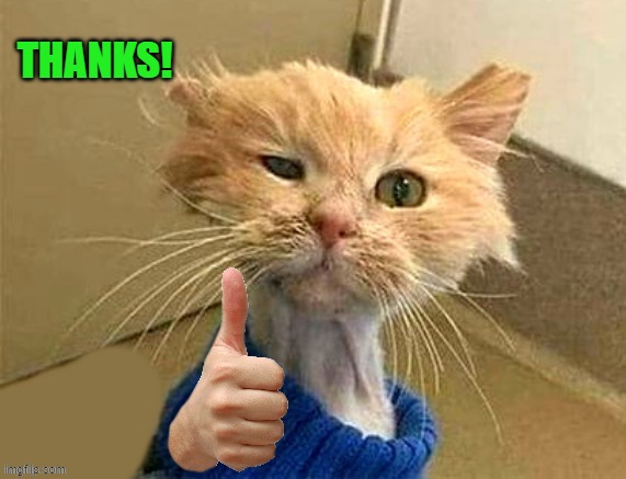 thumb cat | THANKS! | image tagged in thumb cat | made w/ Imgflip meme maker