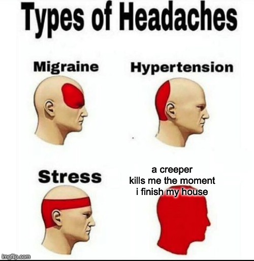 Why are they even in the game | a creeper kills me the moment i finish my house | image tagged in types of headaches meme | made w/ Imgflip meme maker
